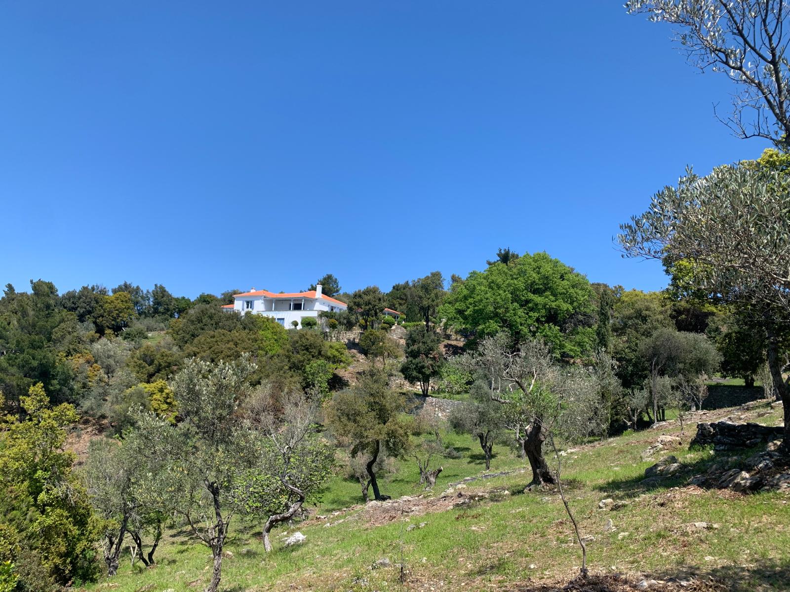 Villa exterior view